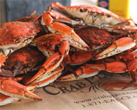 Maryland Hard Shell Crabs